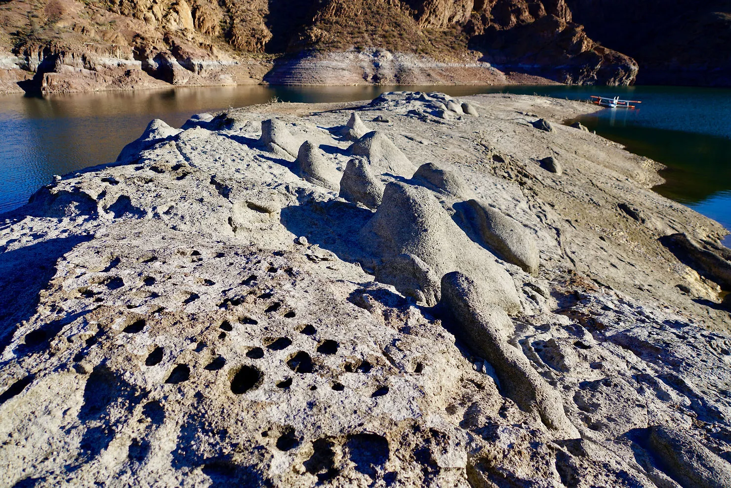 Rizolithes fossilisés