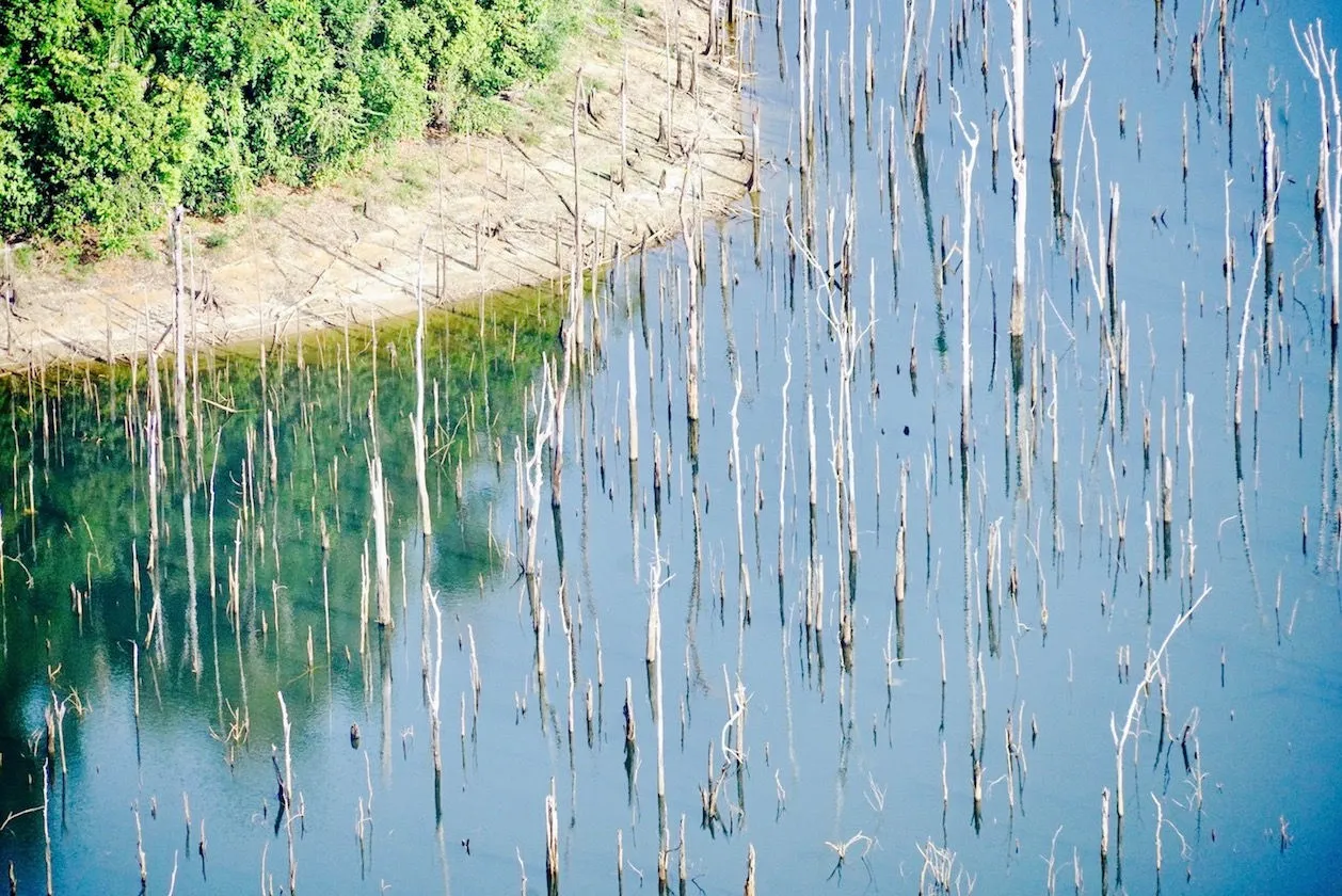Cartographie aérienne de la mangrove