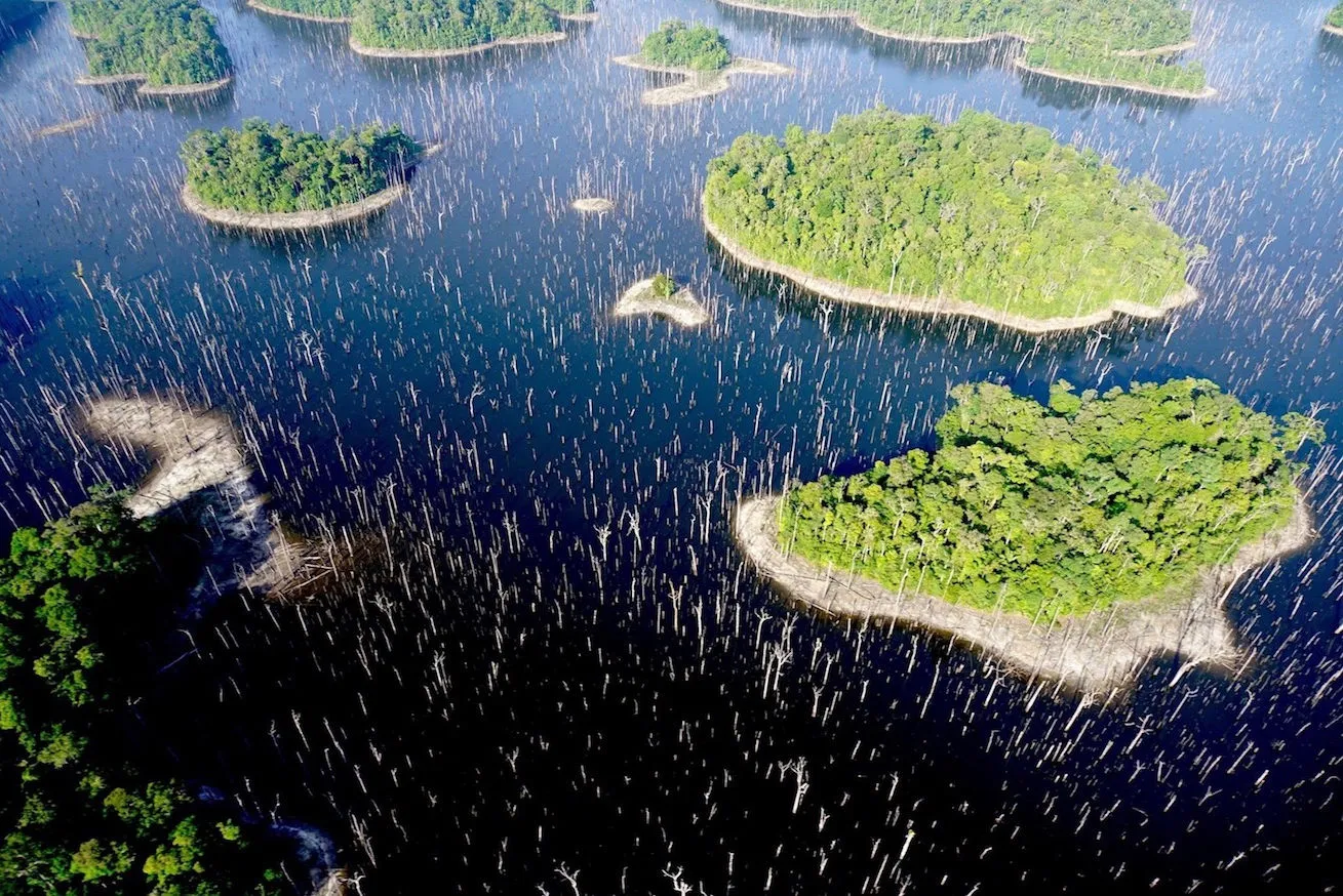 La réserve naturelle de l'Amana