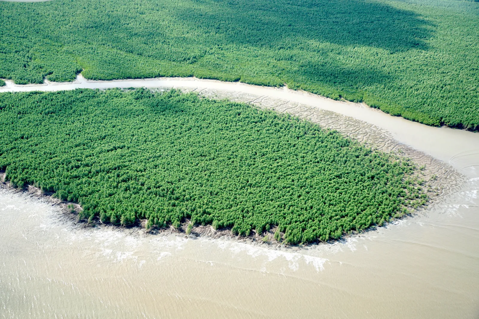 Vue aérienne de la côte du Surinam