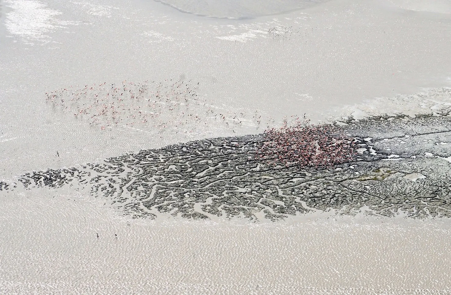 ULM et bateau en opération