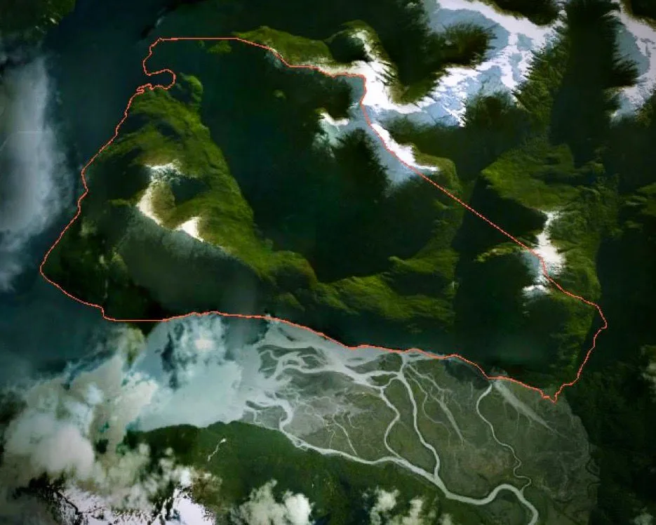 Survol de la forêt patagonienne