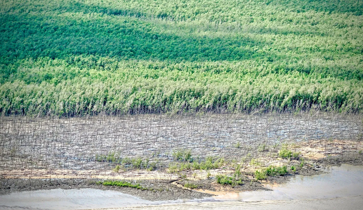 Évolution du littoral