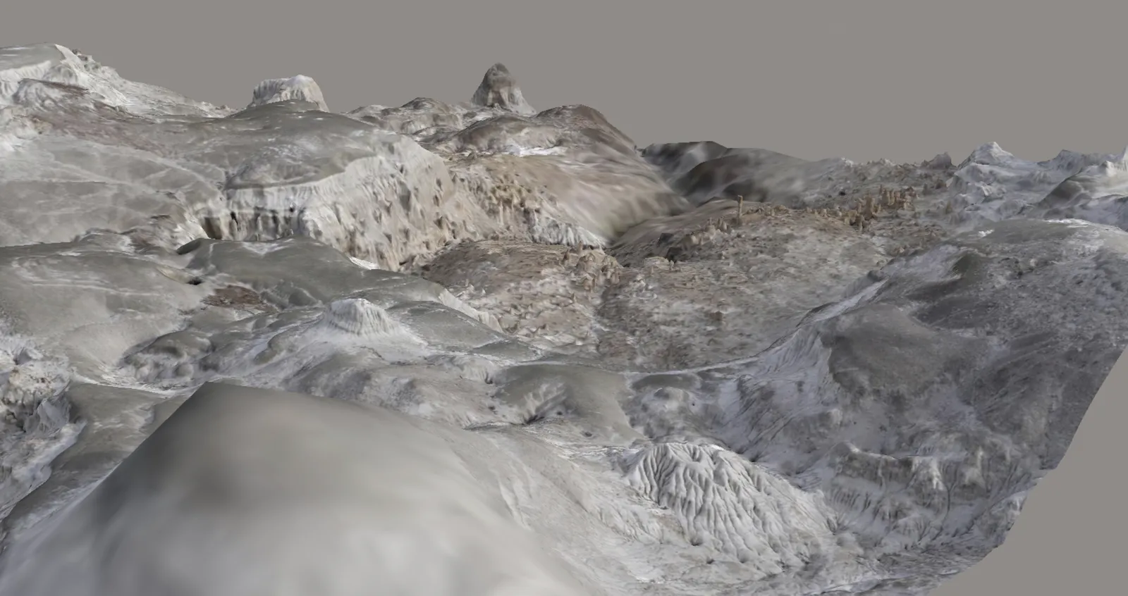Modèle 3D des rizolithes