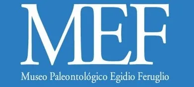 MEF