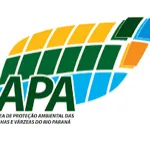 APA